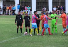 Delegarile arbitrilor de la Onoare