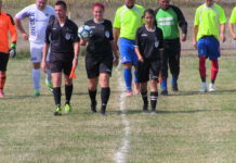 Delegarile arbitrilor din wekeend