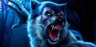 Varcolacii au inceput sa ”muste”. Echipa din Comisani, la prima victorie in campionat