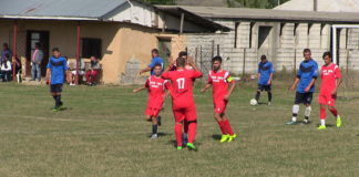 Rezultatele de la Onoare